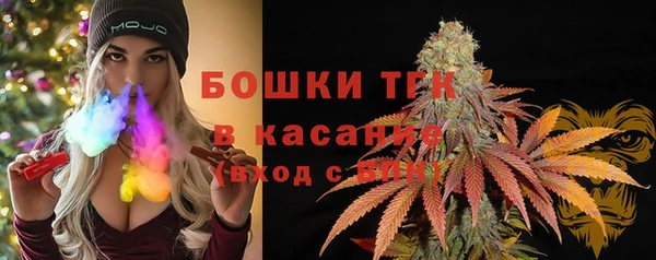 тгк Алзамай