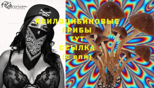 тгк Алзамай